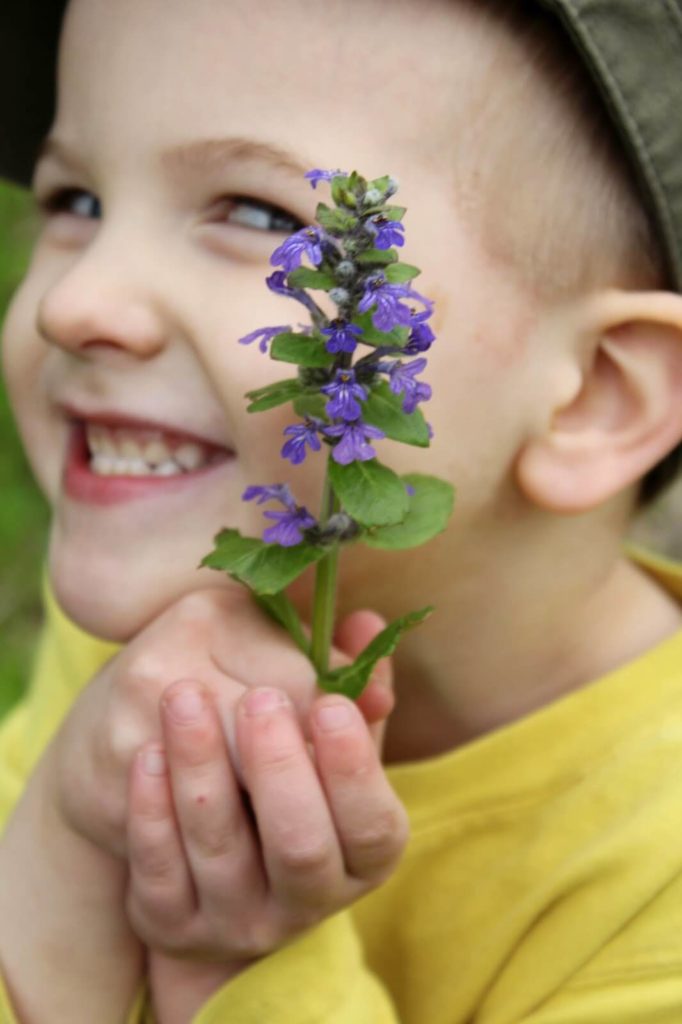 little boy holding purple flower