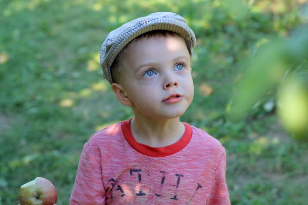 young boy looking up into tree