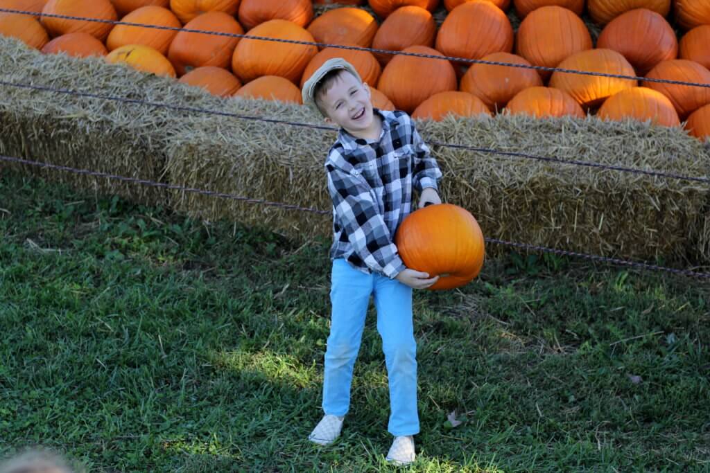 older boy holding pumpkin