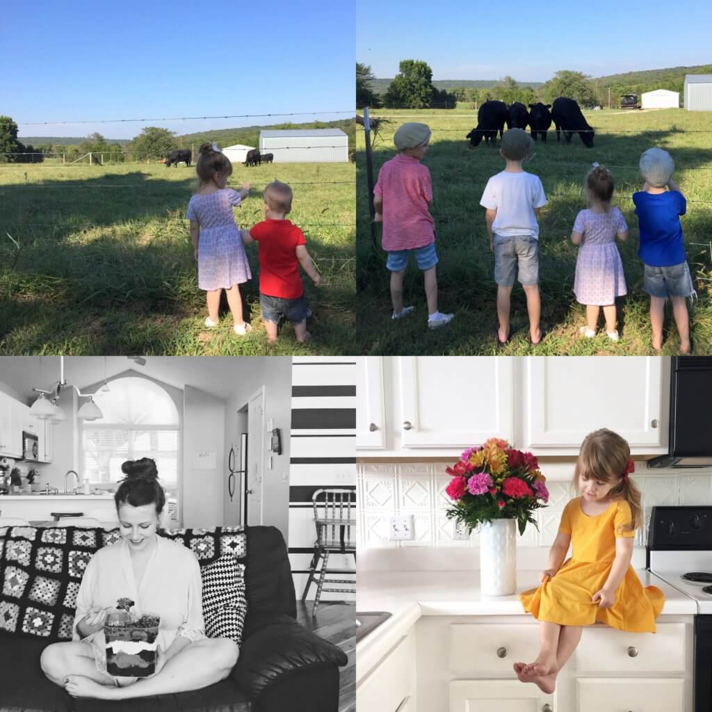 kids looking at cow, eating cake and colorful flower bouquets 