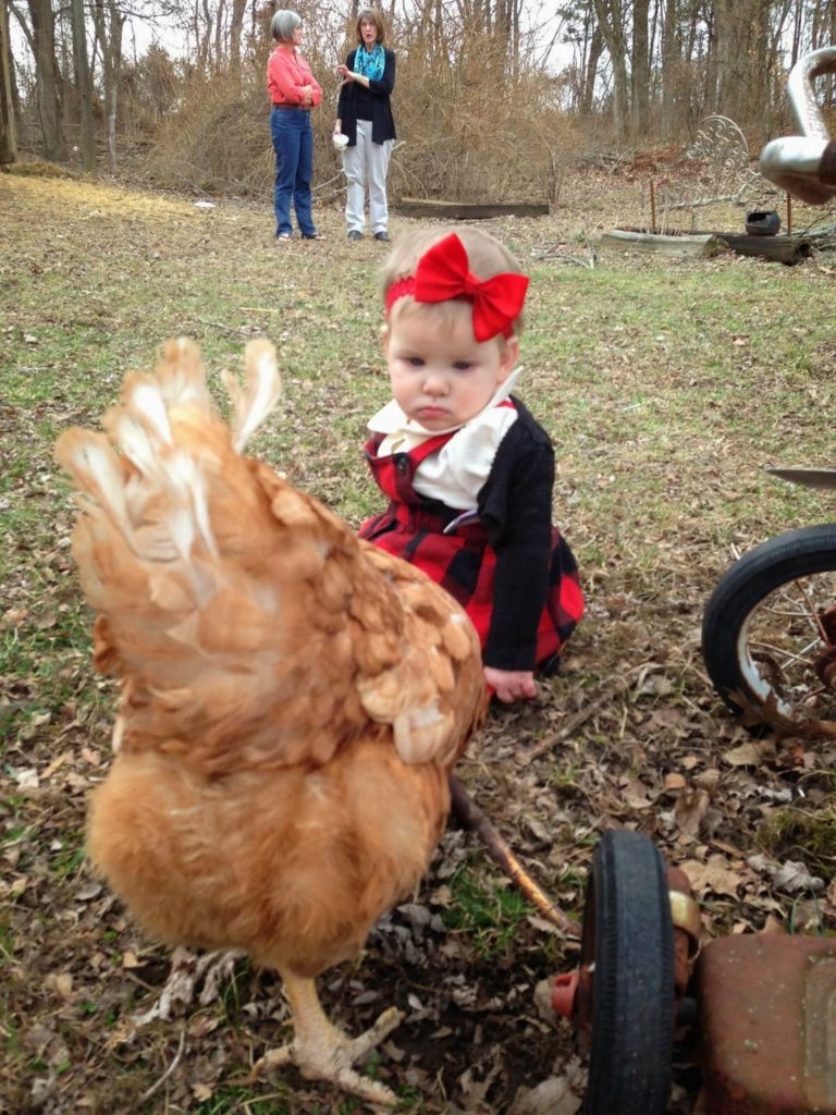 baby girl and chicken