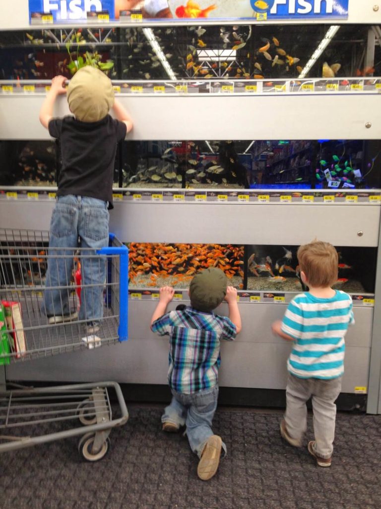 3 kids looking at fish tanks