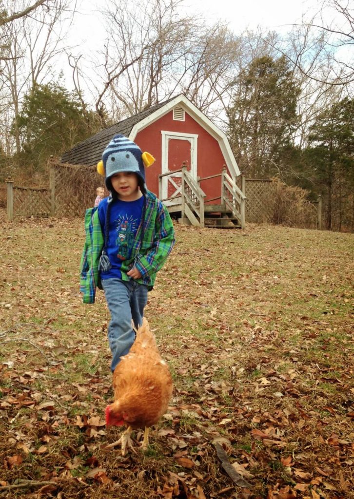 boy following chicken