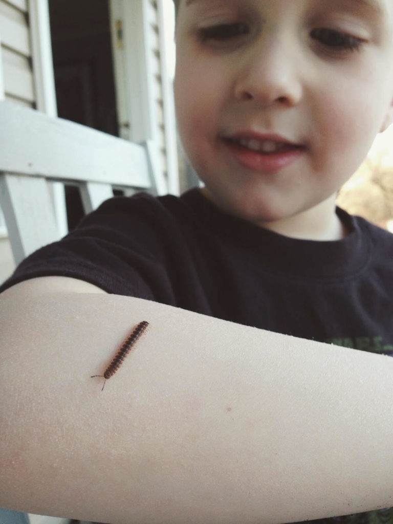 liams bug friend