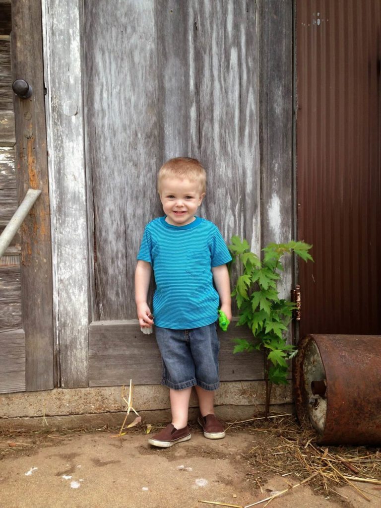 cute toddler boy
