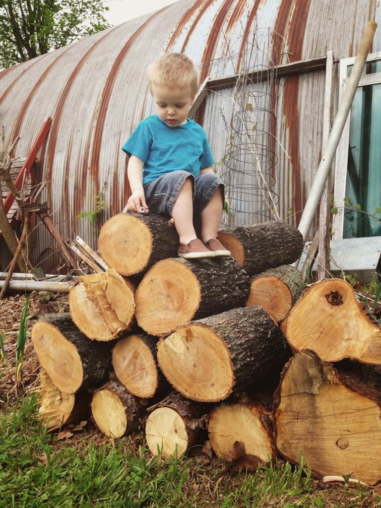 toddler boy sitting on chopped wood