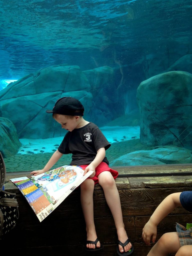 boy looking at map