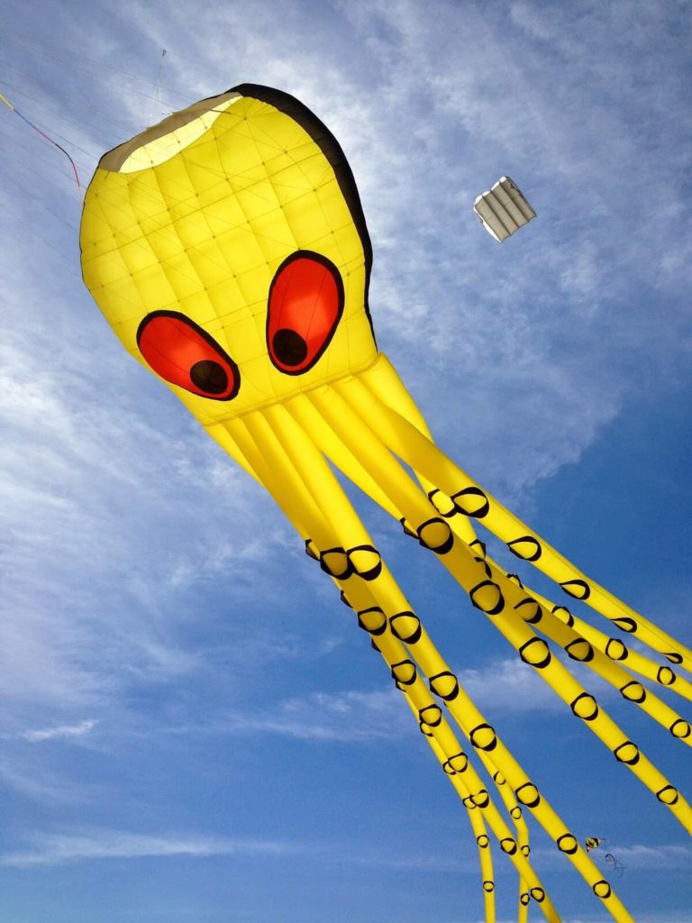 octopus kite