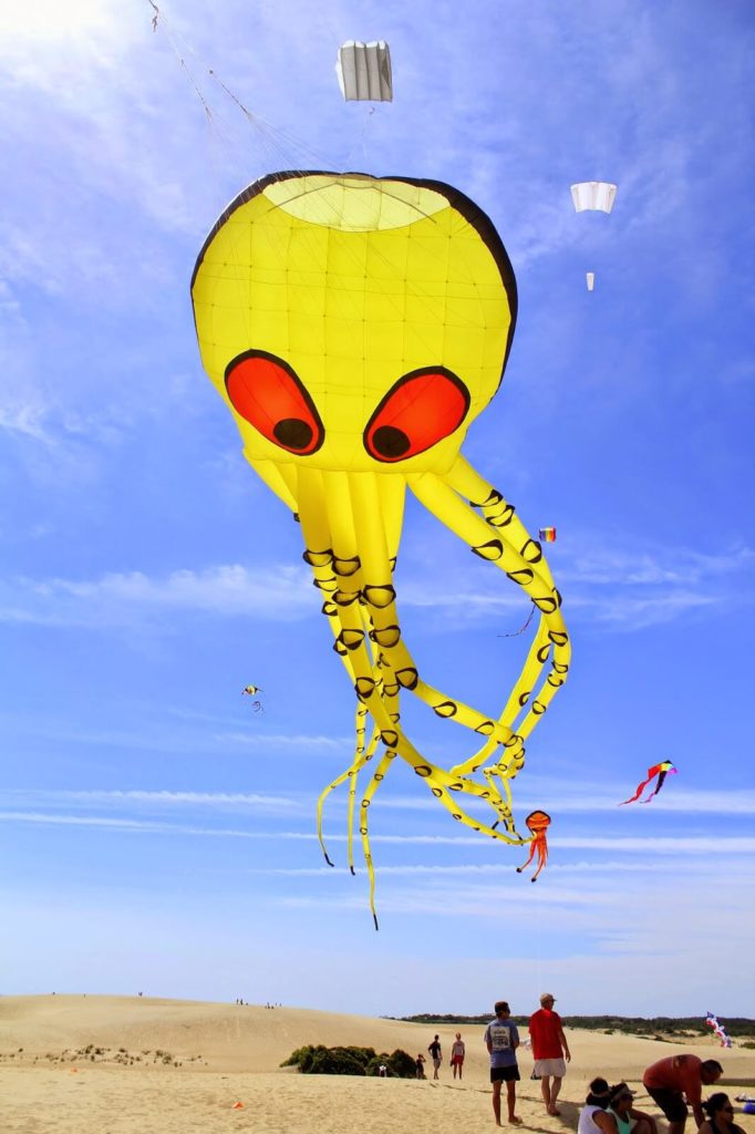 octopus kite