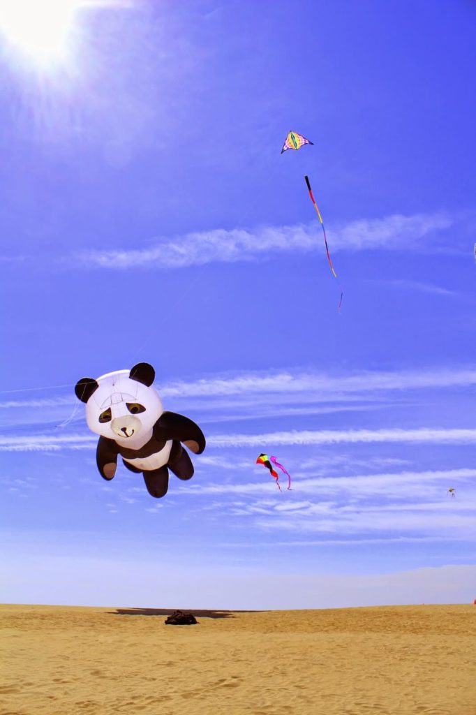 cool giant panda kite