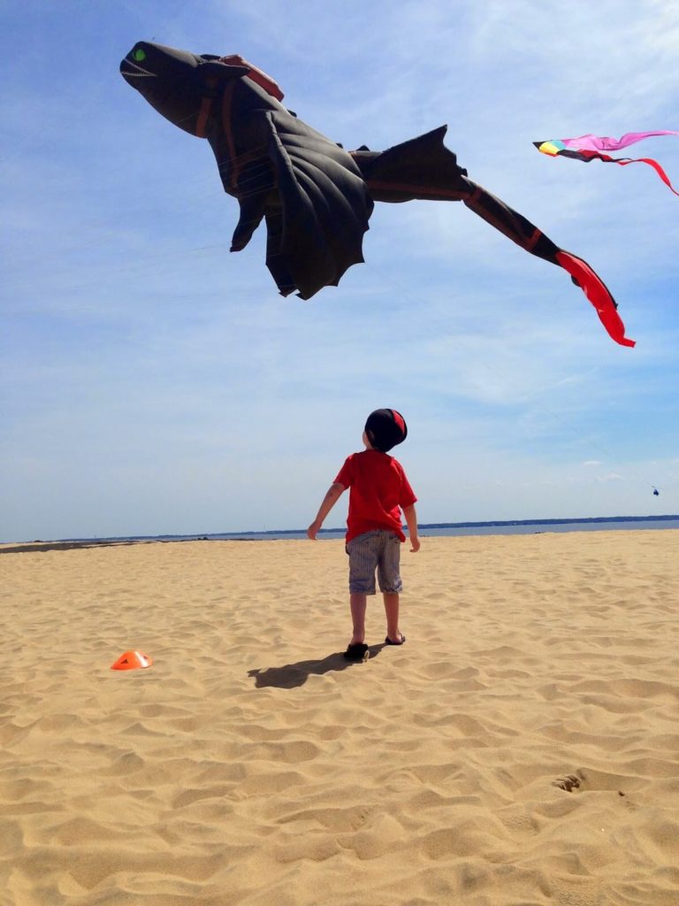 boy watching kite