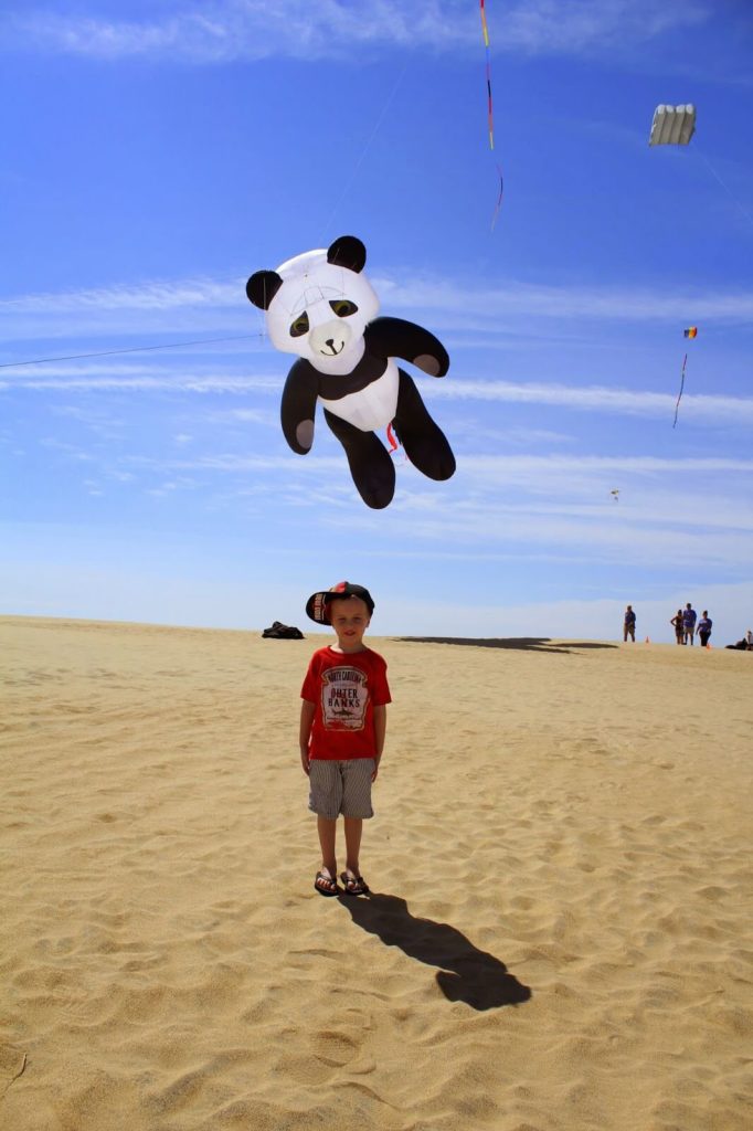 boy and cool kites