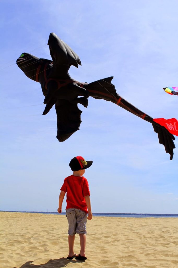 boy watching dragon kite