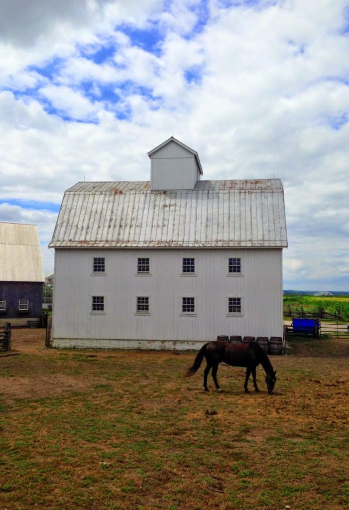white barn on farm