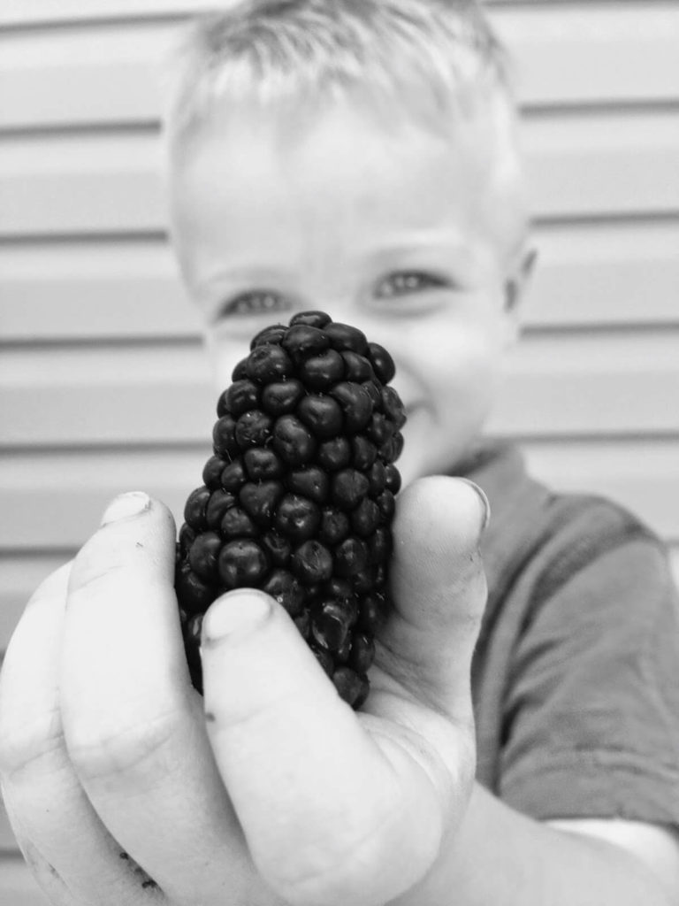 toddler boy holding berries