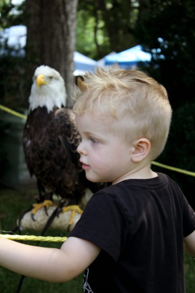 toddler boy at wild bird sanctuary