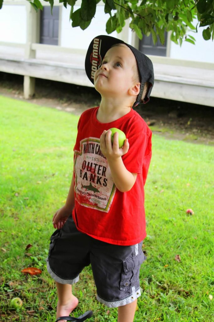 boy holding apple