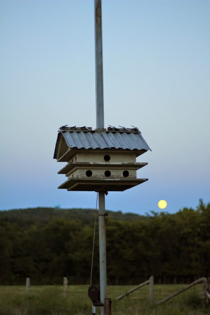 birdhouse