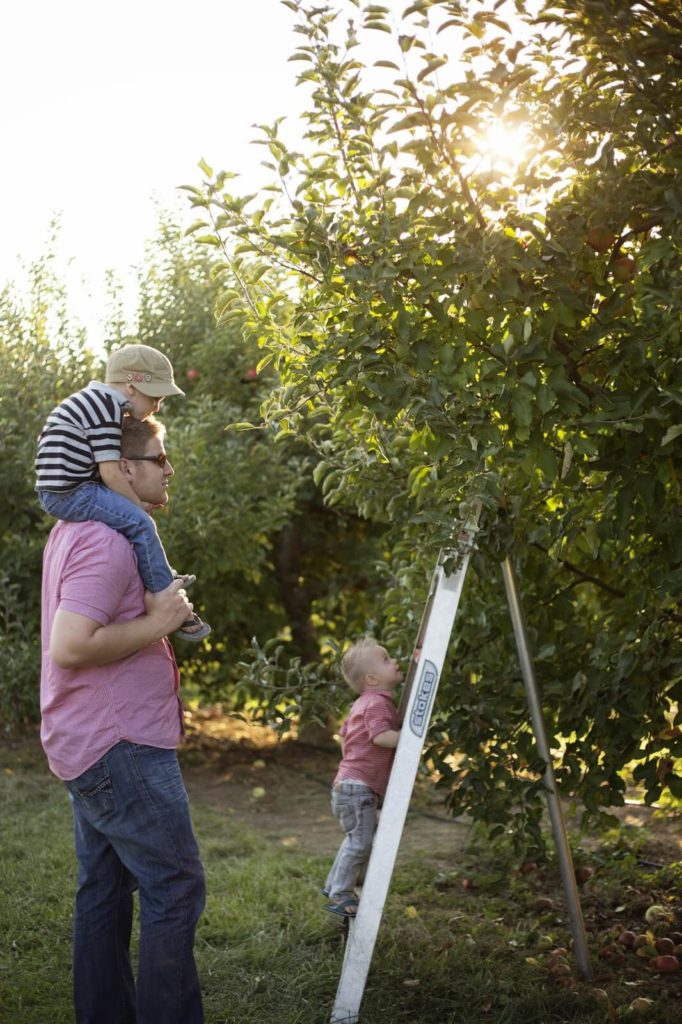 thierbach orchards