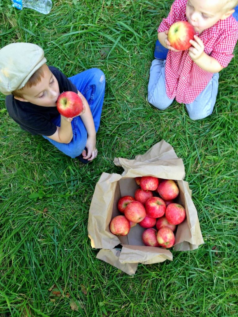 little boys eating apples