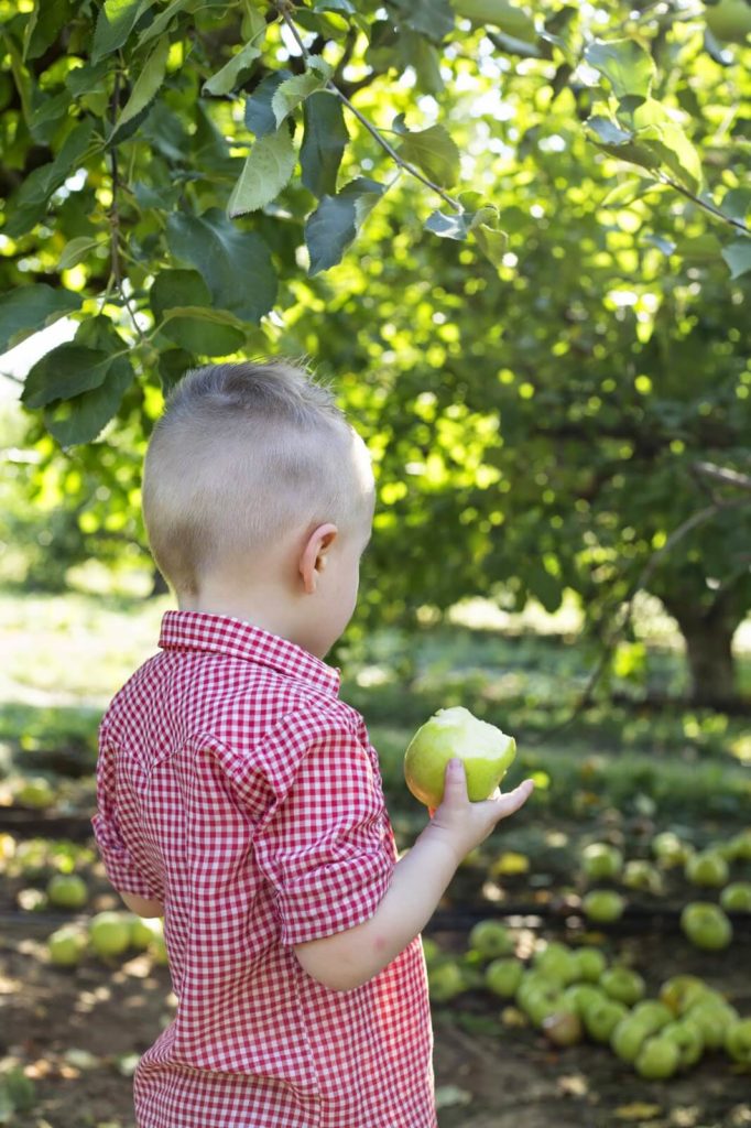 toddler boy eating apple