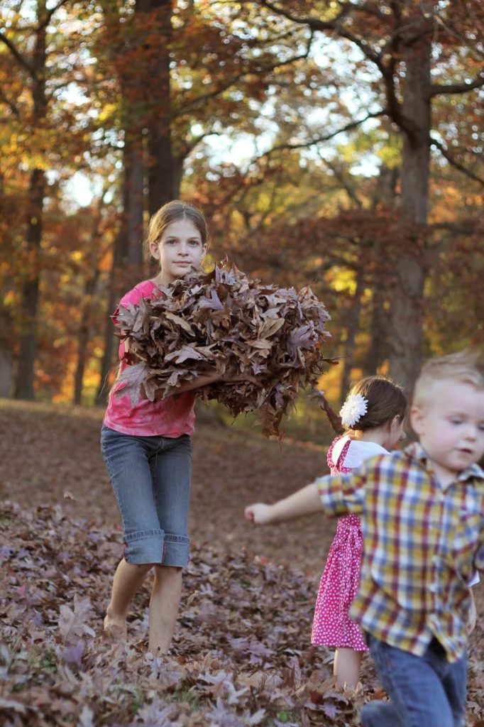 gathering leaves