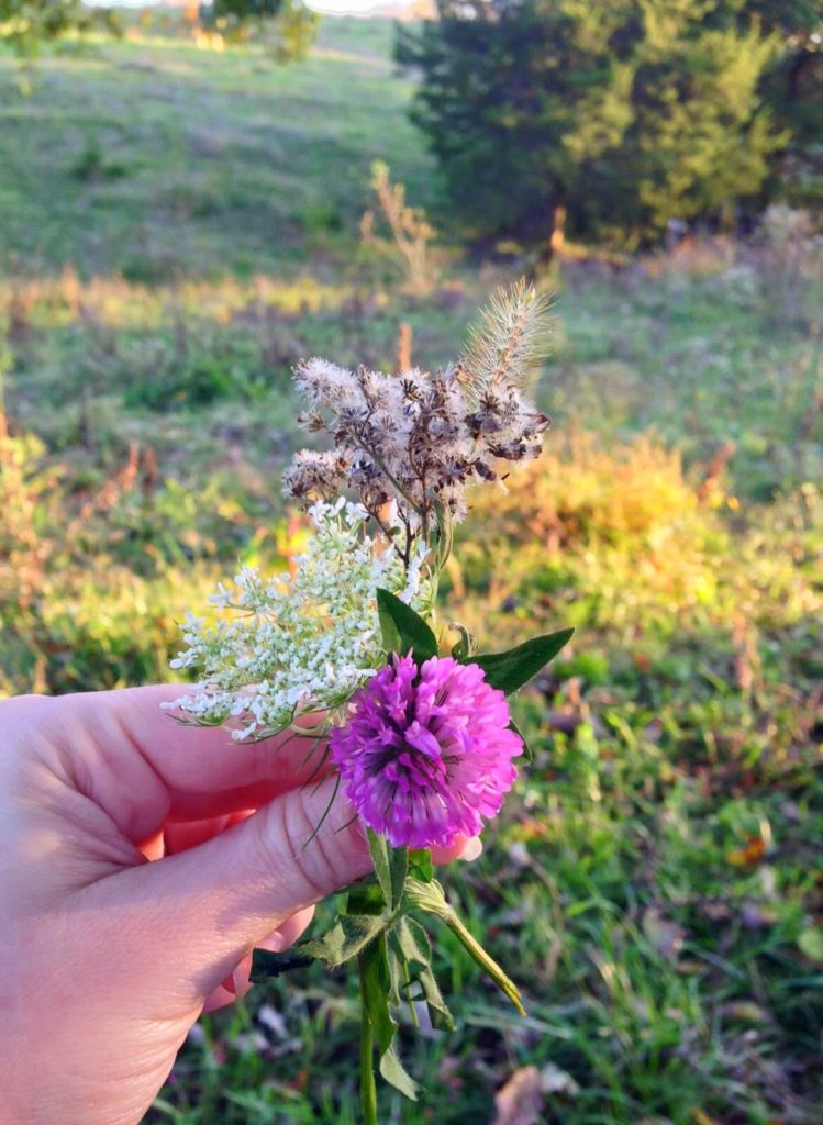 purple flower