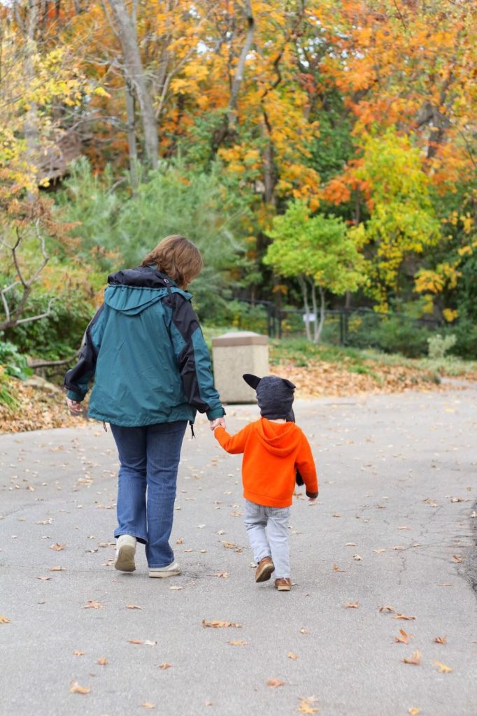 walking at the zoo