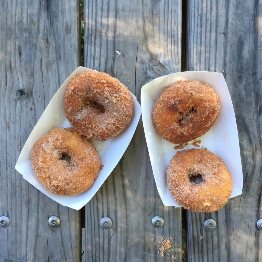 apple donuts