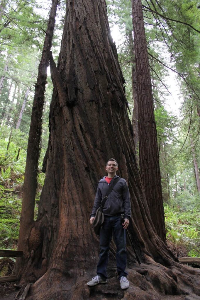 don in front of a tall tree