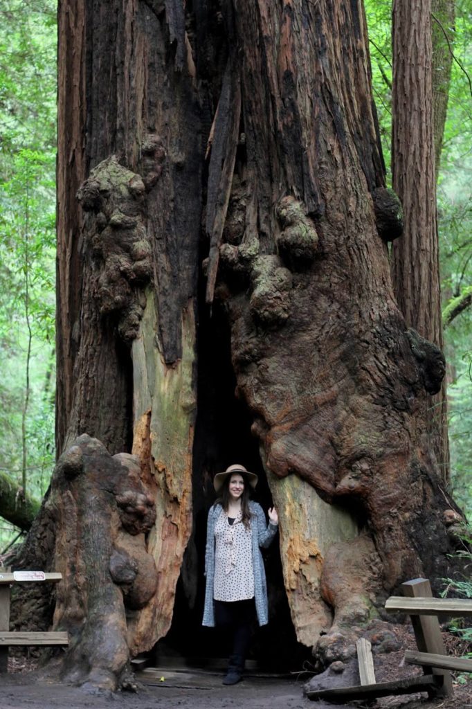 jessica inside of a hollowed out tree