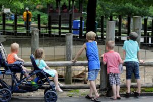 5 kids looking at turtle