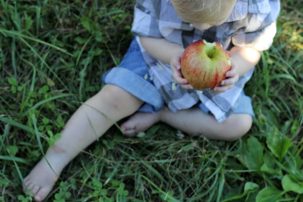 baby boy holding and eating an apple