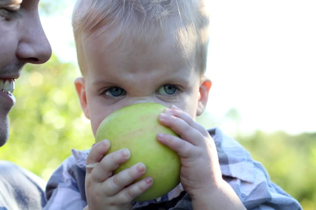 baby boy eating and digging face into apple