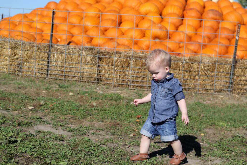 baby boy at pumpkin patch