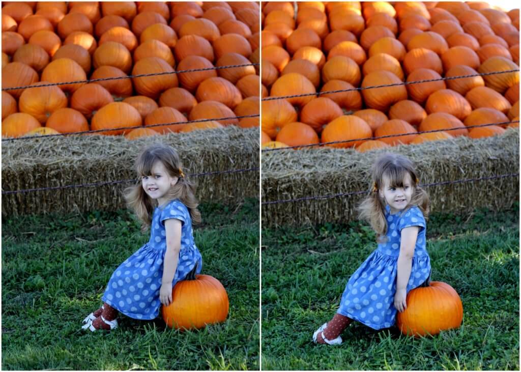 toddler girl posing with pumpkin
