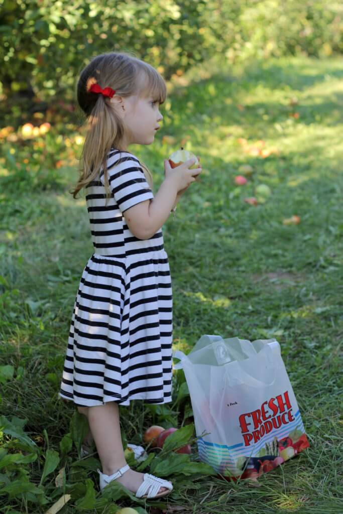 girl watching brothers pick apples