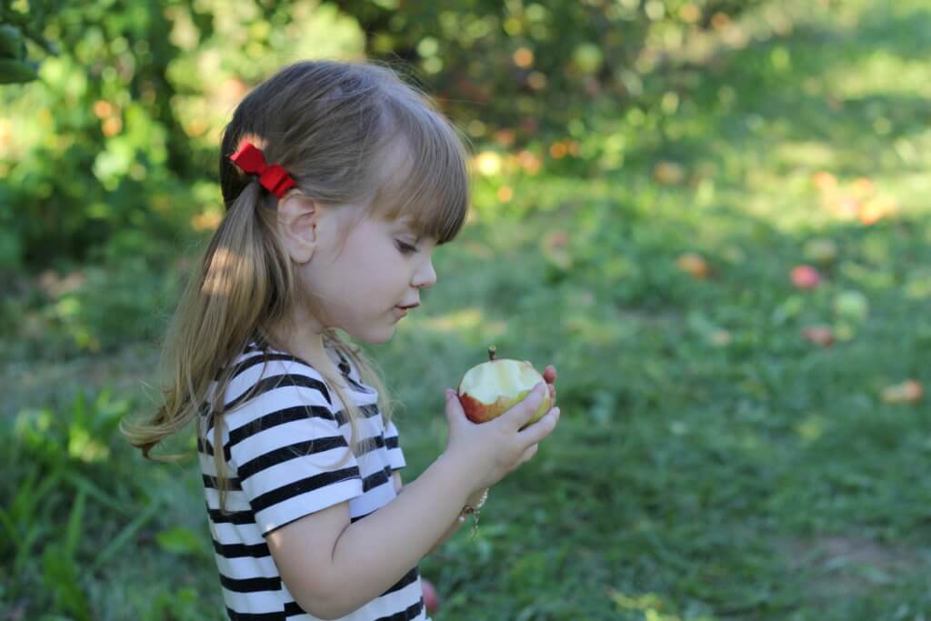 little girl looking at apple