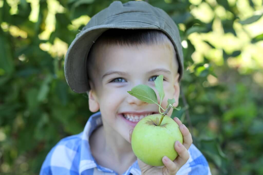 boy holding a green apple