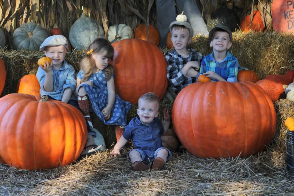 big family sitting with pumpkins