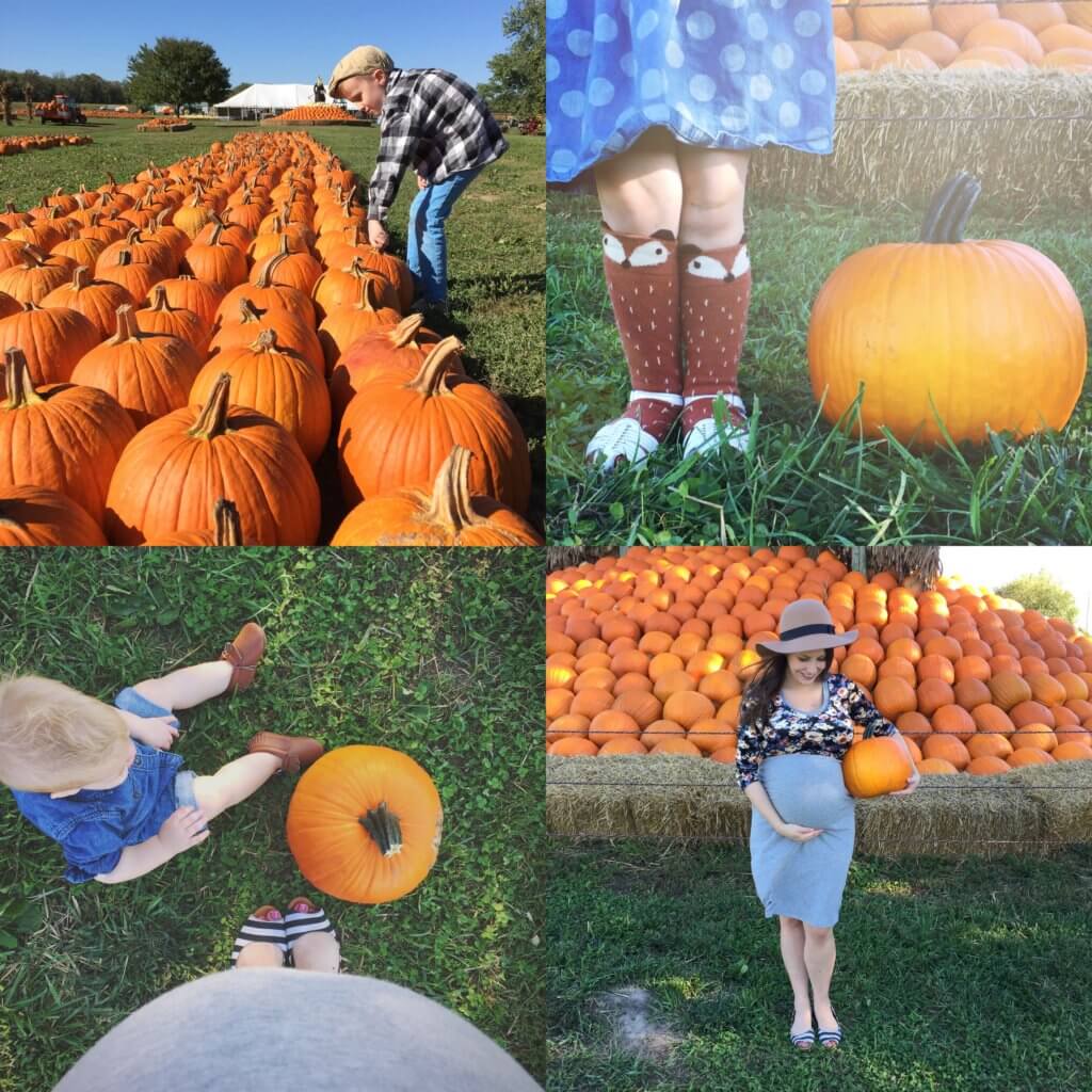 picking out pumpkins at the pumpkin patch